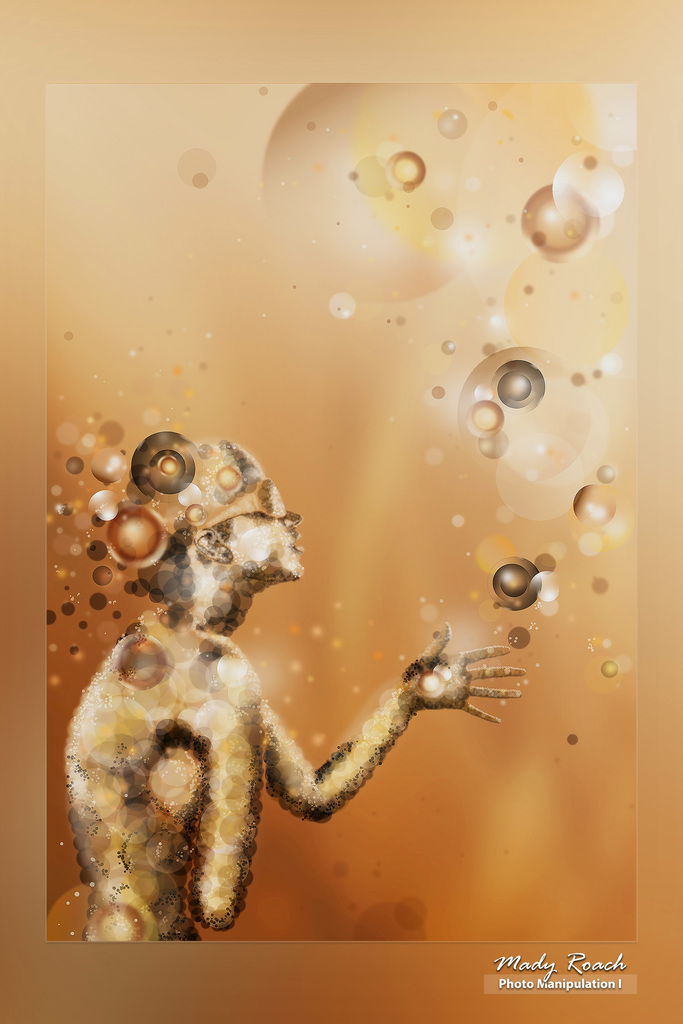 Student Work ~ Mady Roach