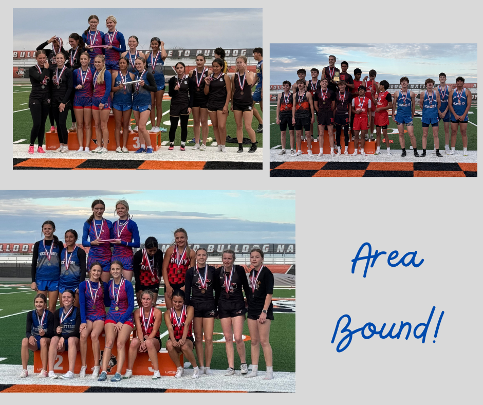 AREA Qualifiers