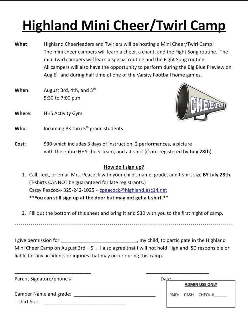 Mini Cheer Camp Flyer