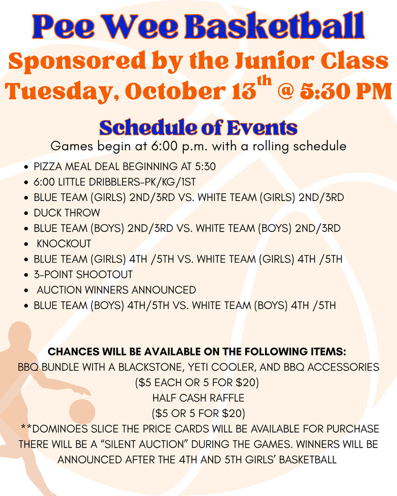 Peewee Basketball Flyer