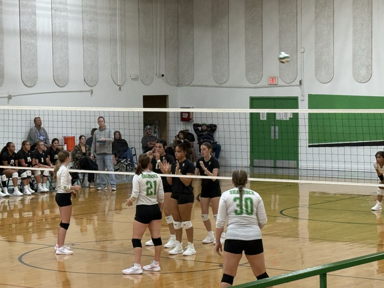 VB
