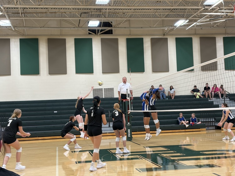 VB