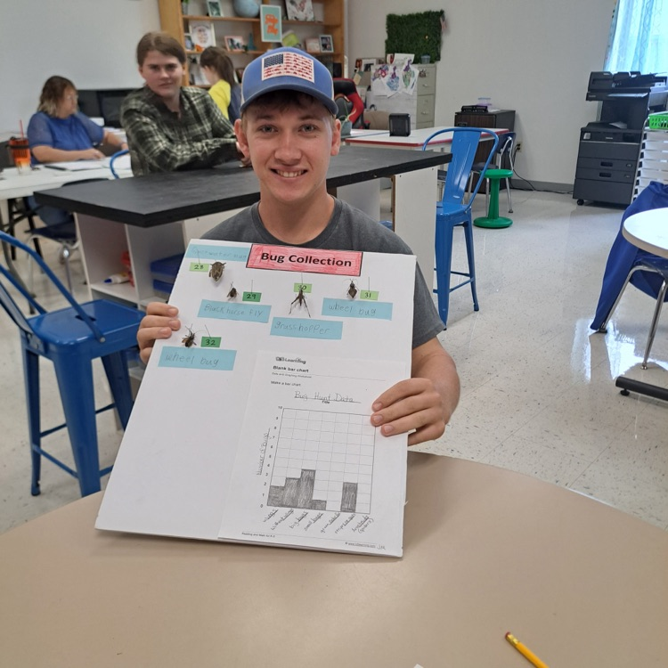 student bug collections