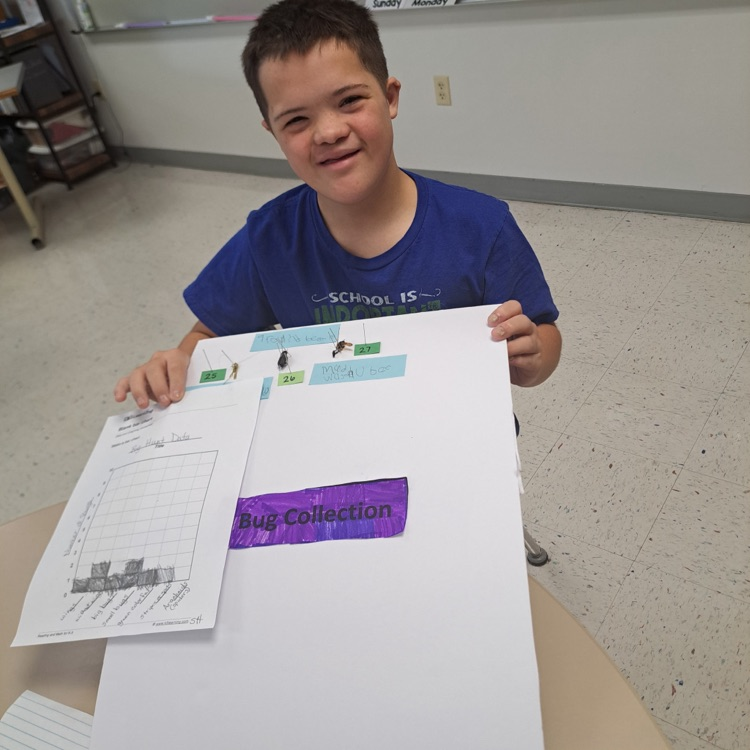 student bug collections