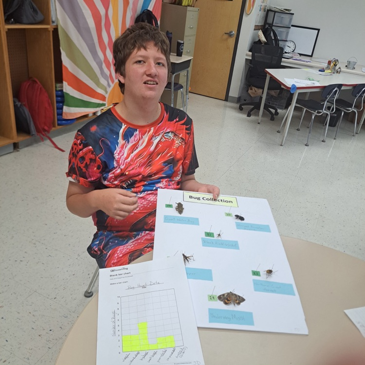 student bug collections