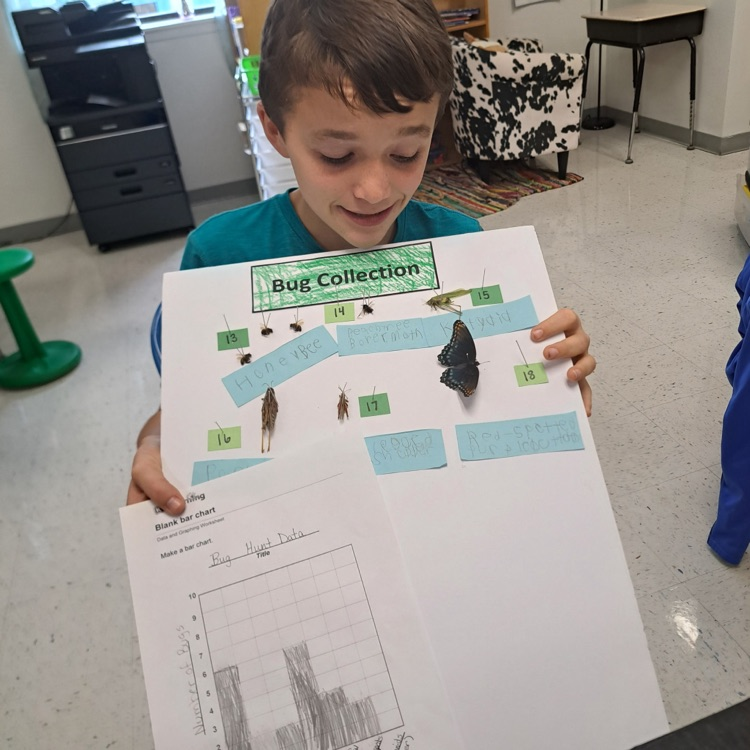 student bug collections