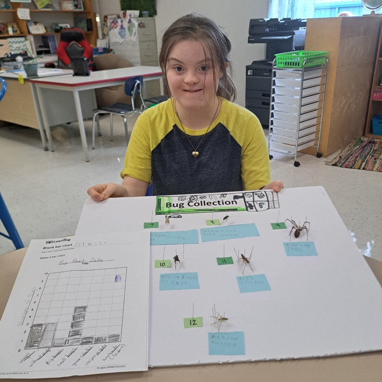 student bug collections