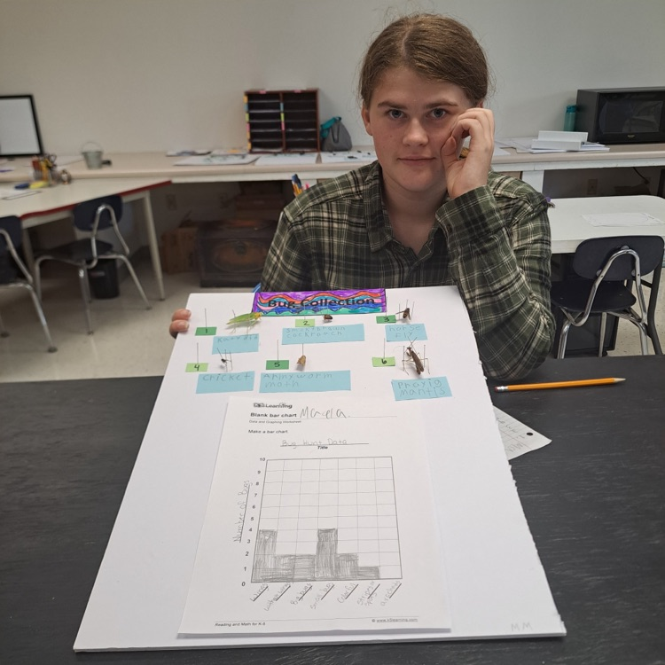 student bug collections