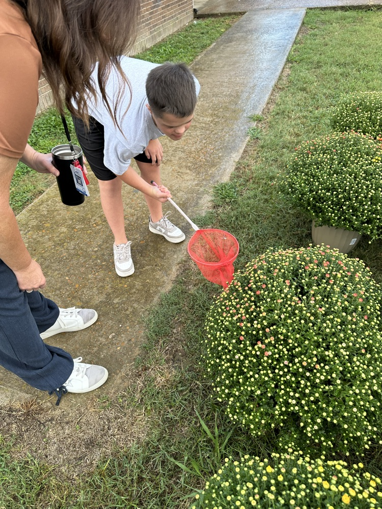 student bug collections