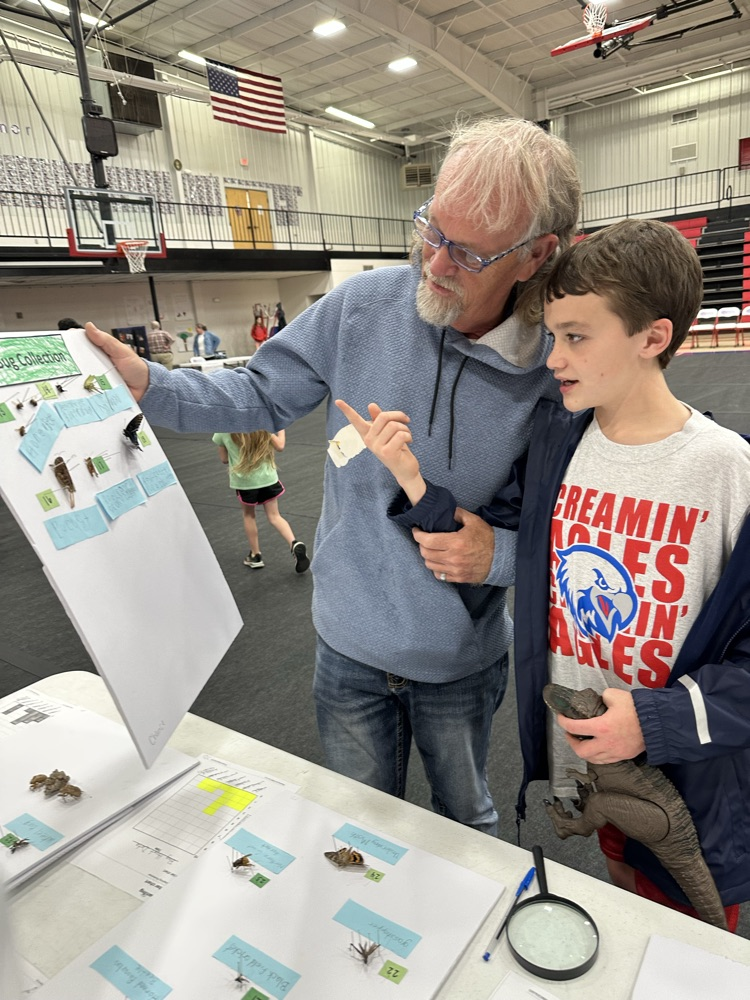 student bug collections