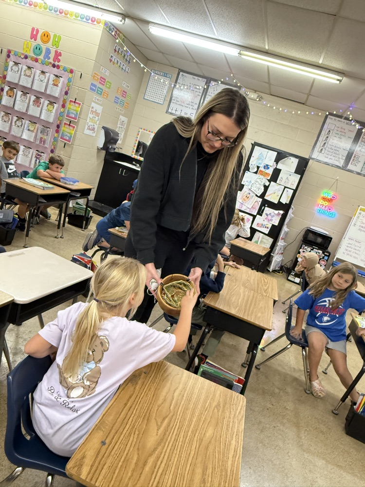 Native American Study