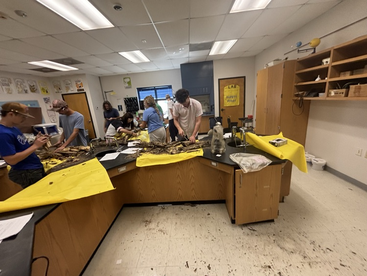 biology