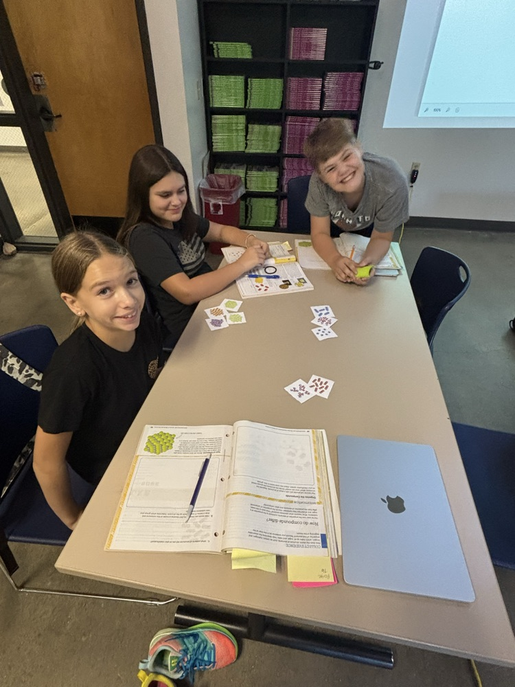 8th science