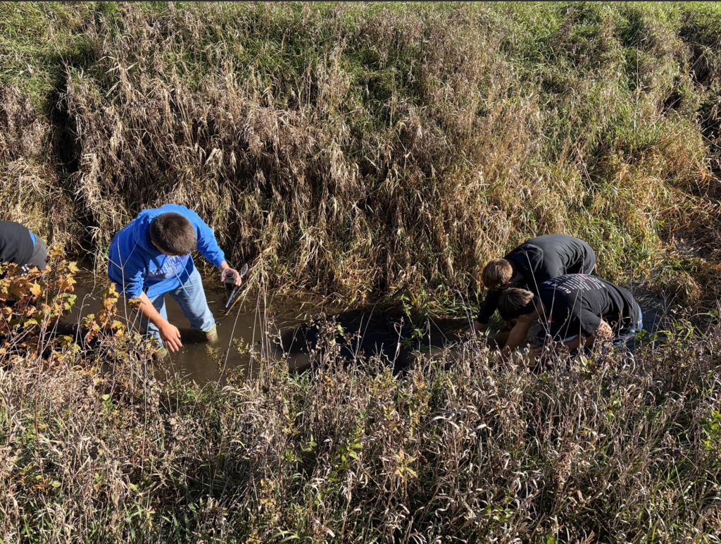 Four people in water, two bending over in foreground, two standing behind them, in a field.