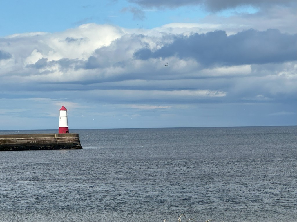 Help guide our decisions about next year's calendar.