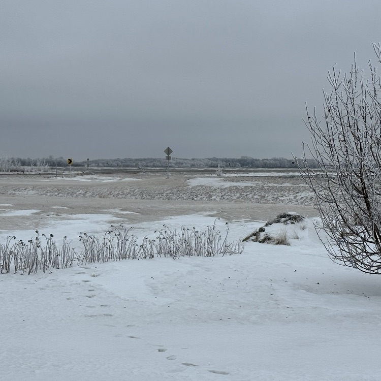 School and buses one hour late today, January 16th.
