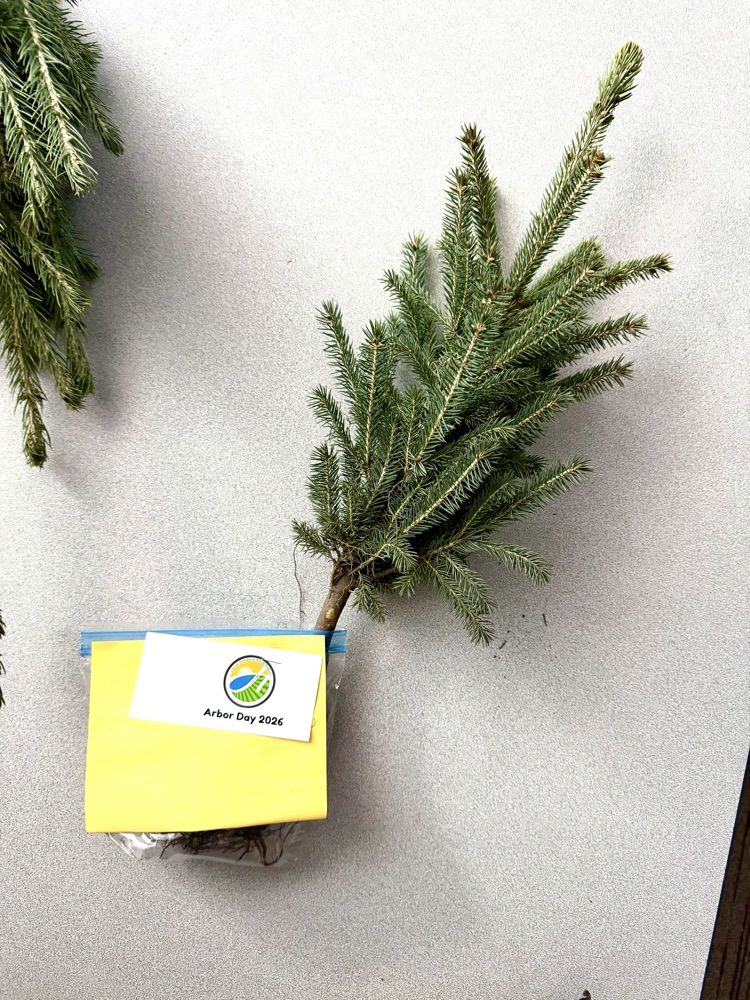 Arbor Day