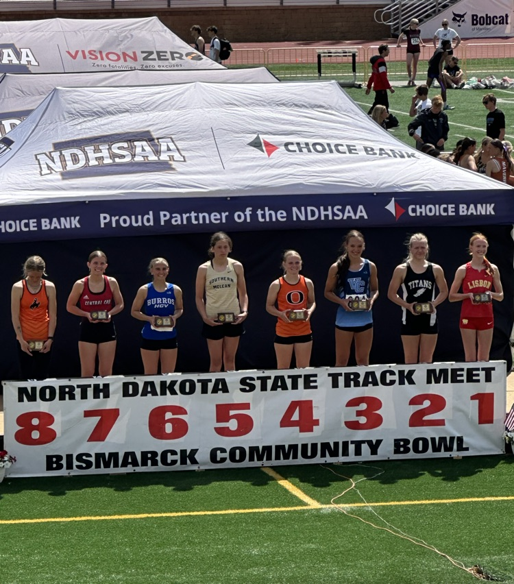 McKenzie Ptacek earns 6th place in Pile Vault at State Track.