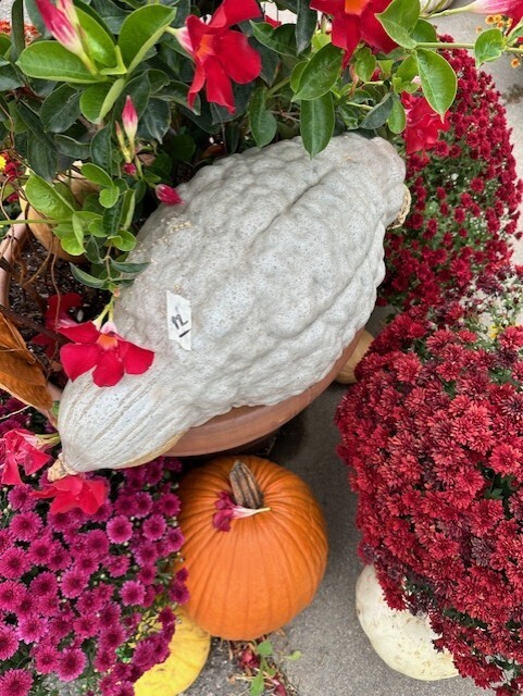 October Early-Out