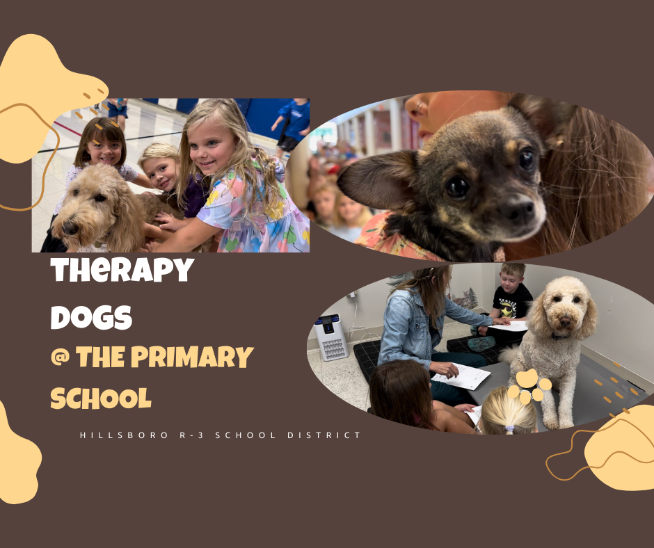 Therapy Dogs Pic