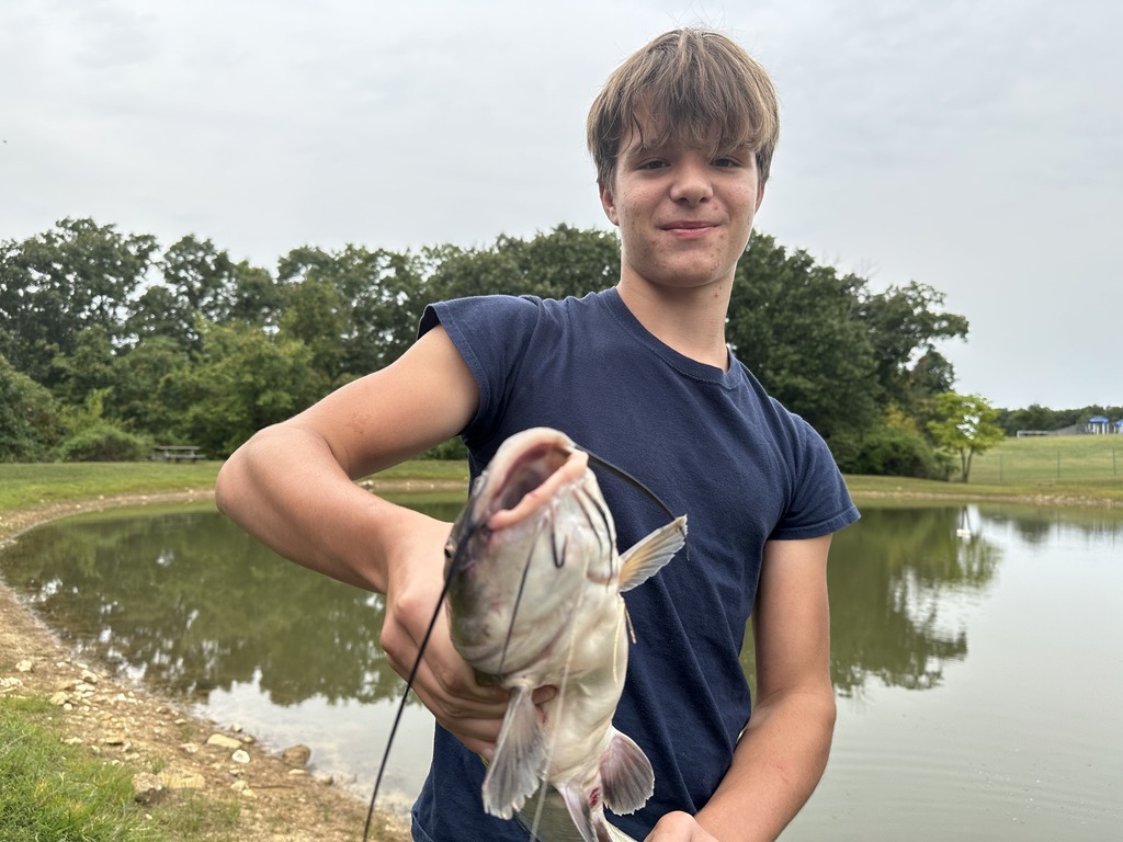 0908 Live Feed Catfish pic