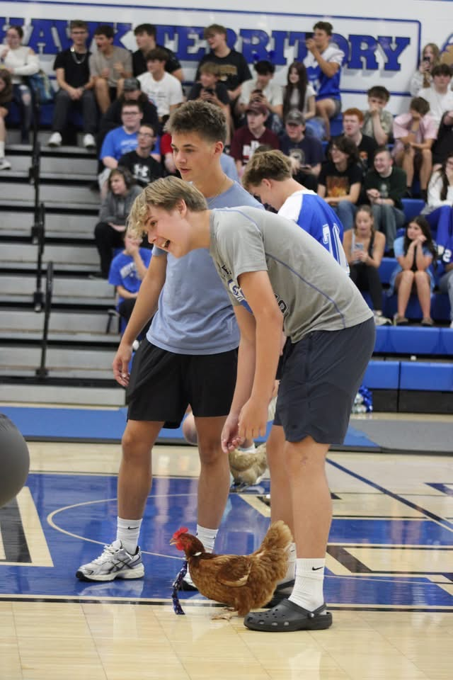 HC Assembly