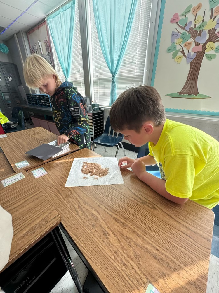 4th grade learning