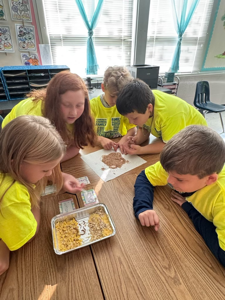 4th grade learning