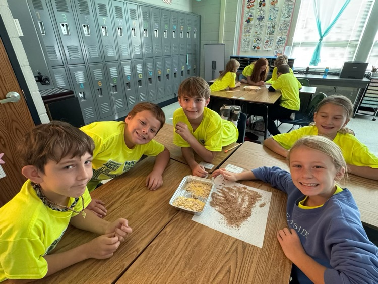 4th grade learning