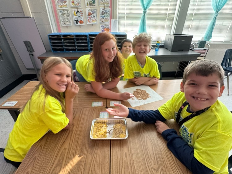 4th grade learning
