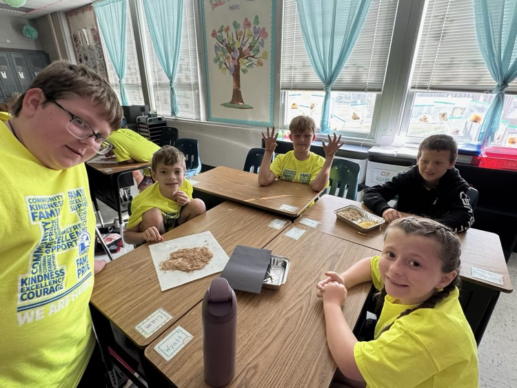 4th grade learning is