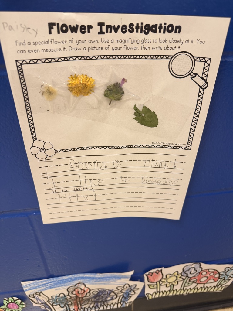 image of a flower investigation by mrs. towers class