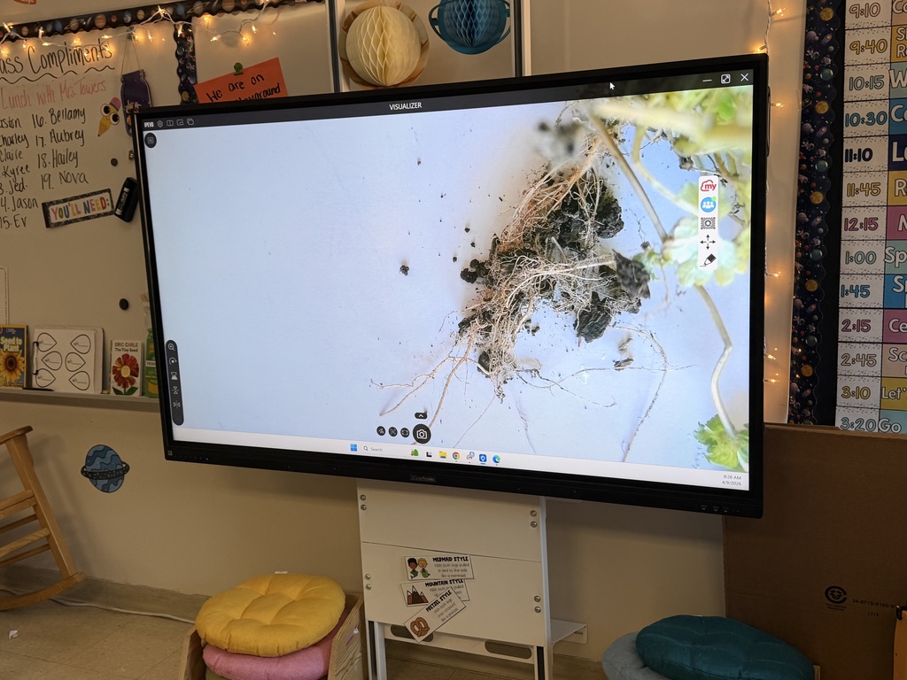 A closer look at what your students found in Mrs. Towers class after an outside visit. 