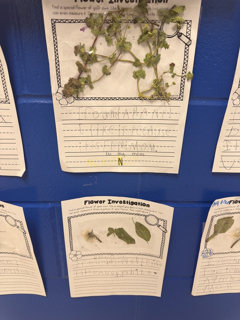image shows some green leaves picked by students after going outside on tuesday., 