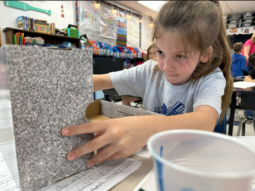 A closeup view of a student working on her class project as she makes an animal habitat made out of a shoebox.
