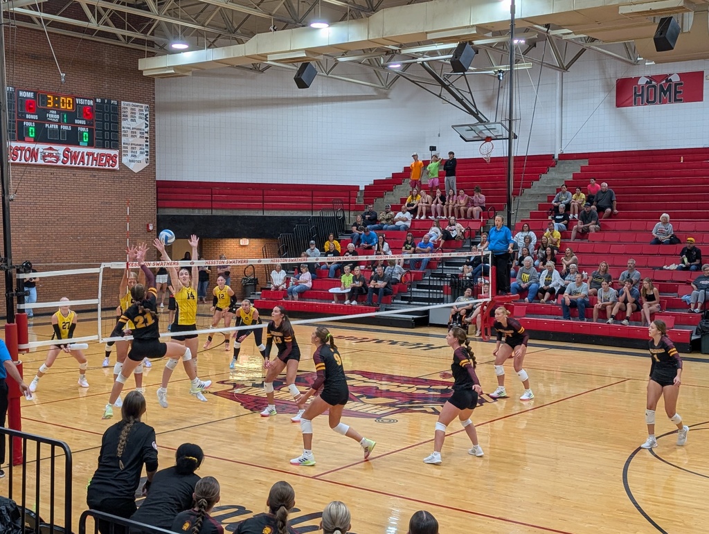 vb