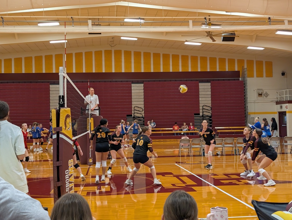 vb