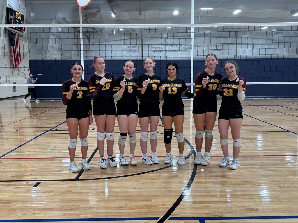 vb
