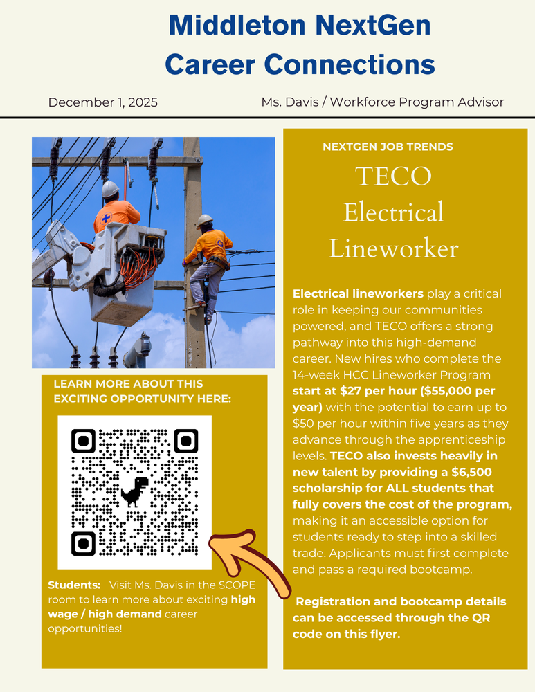 TECO Electrical Lineworker