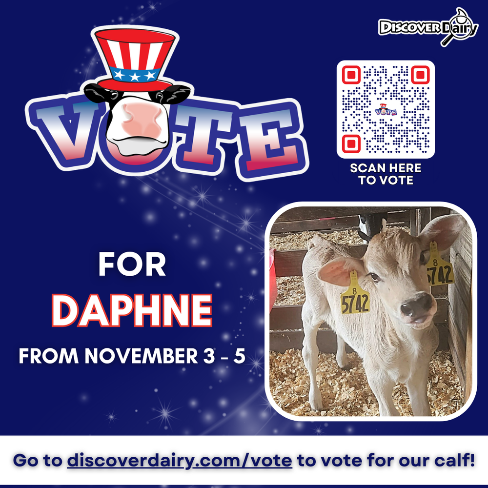 Vote for Daphne