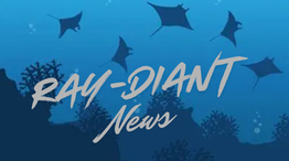 NL Banner