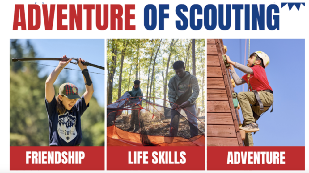 Scouts Banner