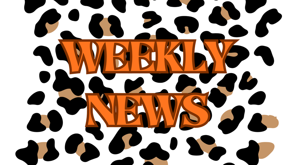 Smores Weekly Newletter