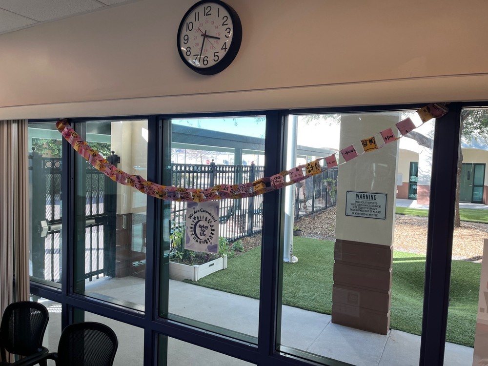 Relay For Life - Locks of Love