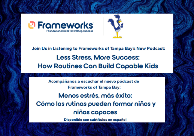 Frameworks podcast info