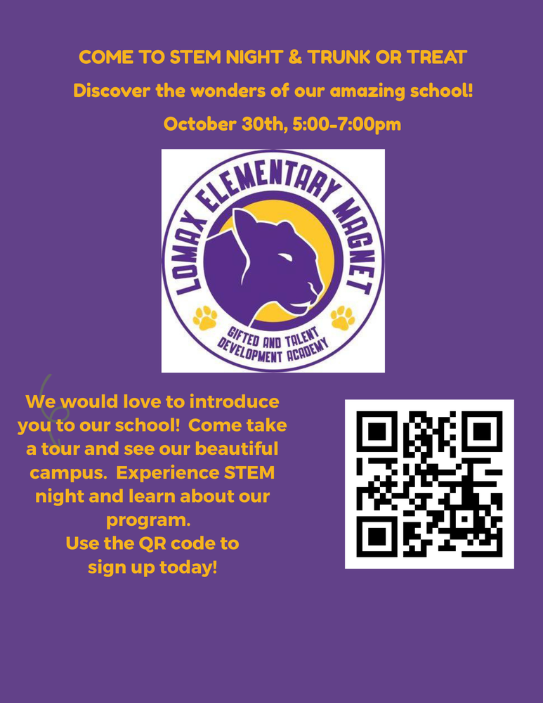 Stem Night