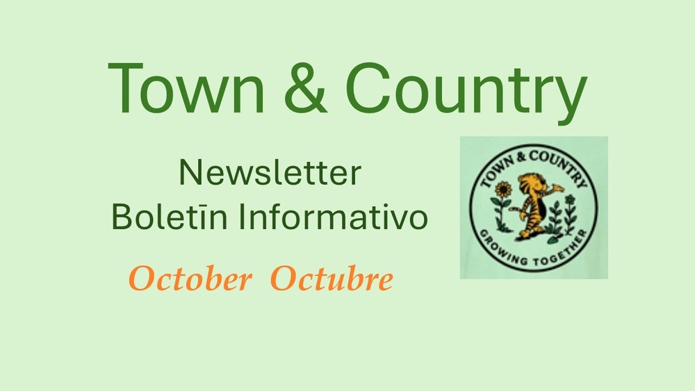 Town and Country Newletter