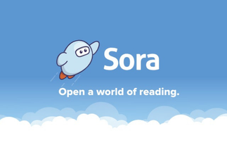 Sora ebooks