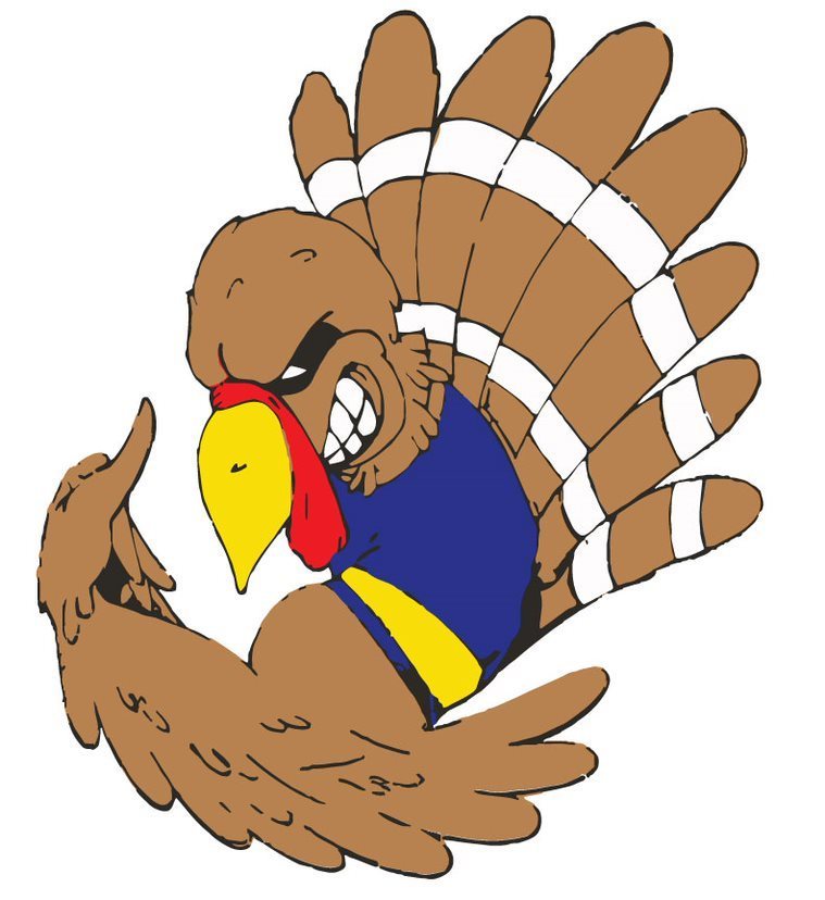 turkey 