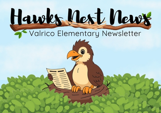 Hawk Reading Newspaper